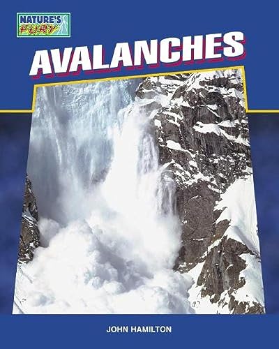 Avalanches - Click to Buy