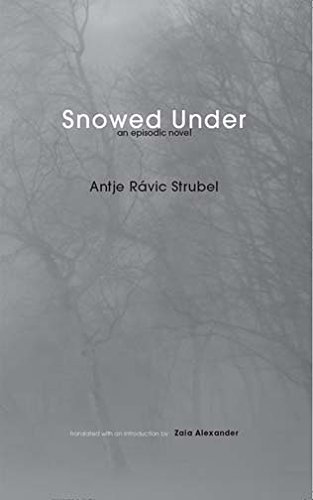 SNOWED UNDER - Click to Buy