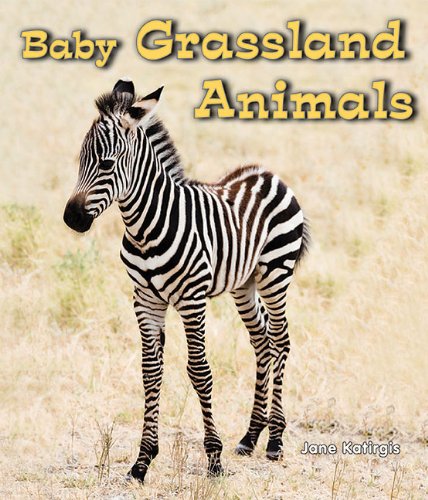 Baby Grassland Animals - Click to Buy