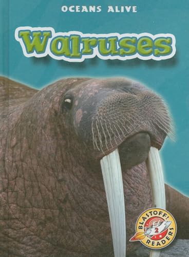 Walruses - Click to Buy