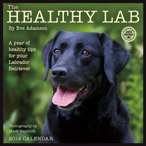 Healthy Lab 2014 Calendar - Click to Buy
