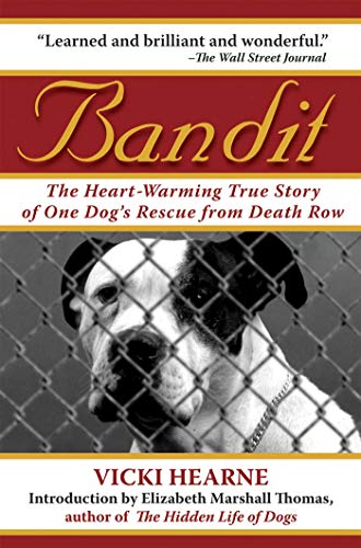 Bandit: The Heart-Warming True Story of One Dog's Rescue from Death Row - Click to Buy