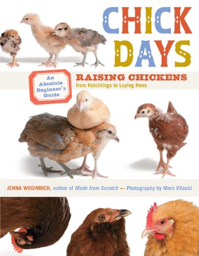 Chick Days: An Absolute Beginner's Guide to Raising Chickens from Hatching to Laying - Click to Buy