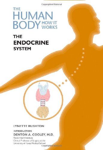 The Endocrine System (Human Body: How it Works) - Click to Buy