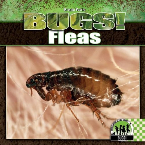 Fleas (Bugs!) - Click to Buy