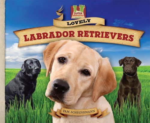 Lovely Labrador Retrievers - Click to Buy