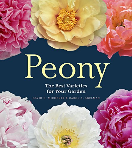 Peony: The Best Varieties for Your Garden - Click to Buy