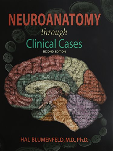 Neuroanatomy Through Clinical Cases - Click to Buy