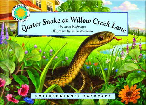 Garter Snake at Willow Creek Lane - Click to Buy