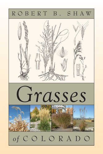 Grasses of Colorado - Click to Buy