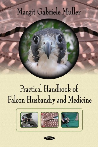 Practical Handbook of Falcon Husbandry and Medicine - Click to Buy