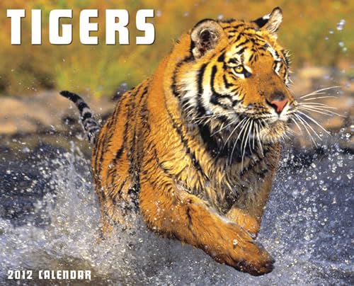 Tigers 2012 Calendar - Click to Buy