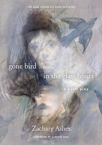 gone bird in the glass hours: a poem play - Click to Buy