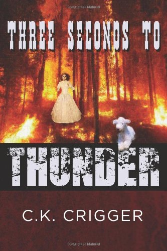 Three Seconds to Thunder - Click to Buy