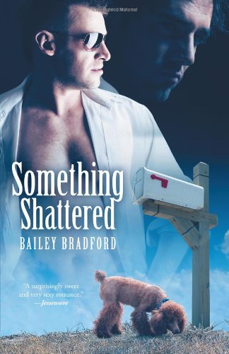 Something Shattered - Click to Buy