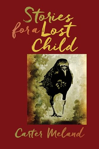 Stories for a Lost Child (American Indian Studies) - Click to Buy