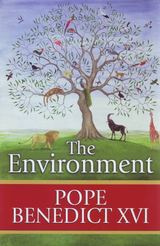 The Environment - Click to Buy