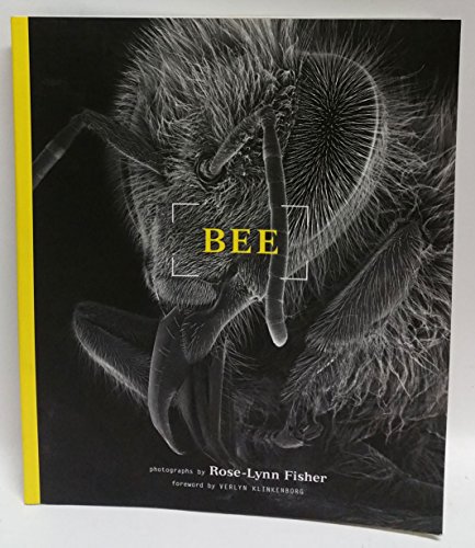 Bee - Click to Buy