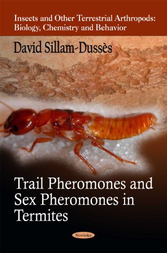 Trail Pheromones and Sex Pheromones in Termites - Click to Buy