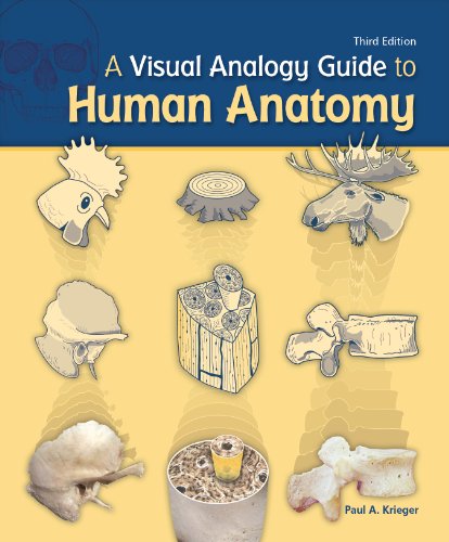 A Visual Analogy Guide to Human Anatomy - Click to Buy
