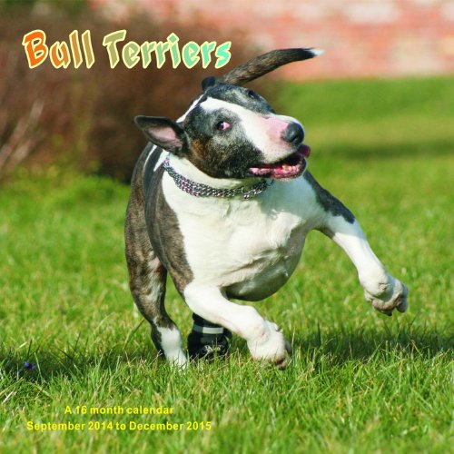 Bull Terriers Calendar - 2015 Wall calendars - Dog Calendars - Monthly Wall Calendar by Magnum - Click to Buy