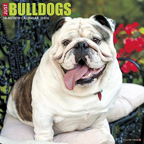 Just Bulldogs 2016 Calendar - Click to Buy