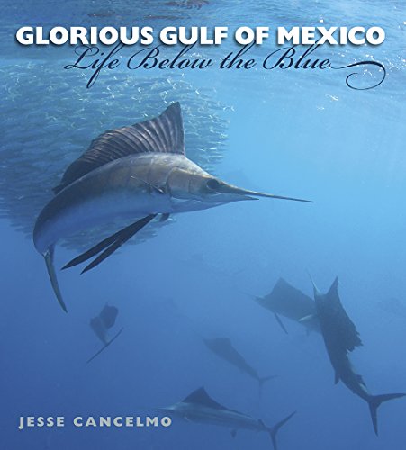 Glorious Gulf of Mexico: Life Below the Blue (Gulf Coast Books): 28 - Click to Buy