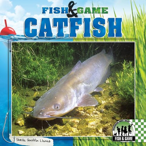 Catfish - Click to Buy
