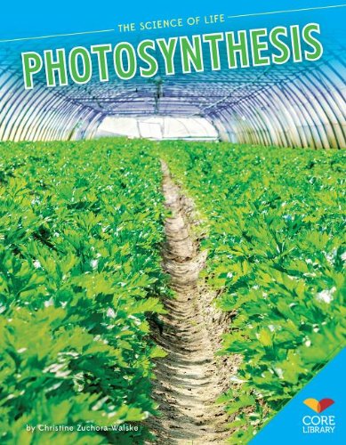 Photosynthesis - Click to Buy