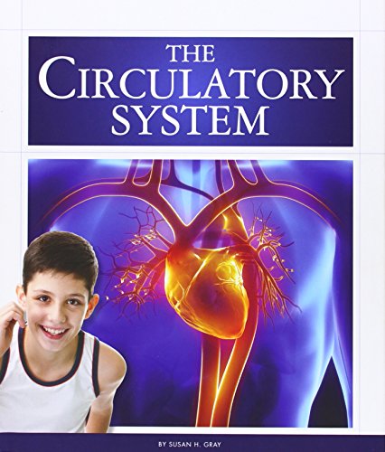 The Circulatory System (The Human Body) - Click to Buy