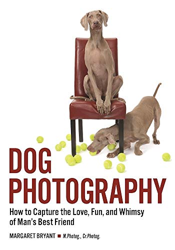 Dog Photography: How to Capture the Love, Fun, and Whimsy of Man's Best Friend - Click to Buy
