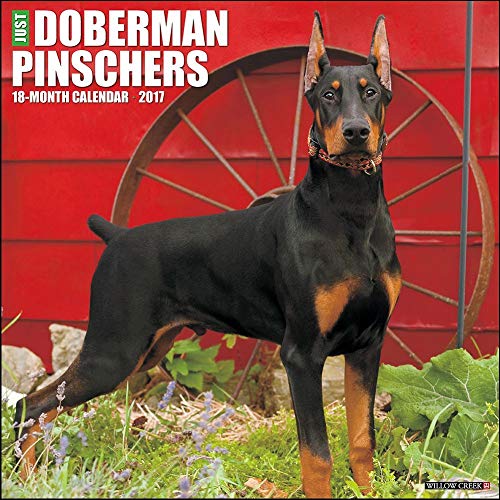 Just Dobermans 2017 Wall Calendar - Click to Buy