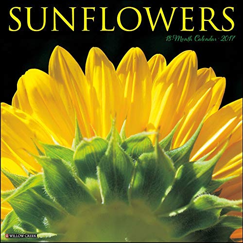 Sunflowers 2017 Wall Calendar - Click to Buy