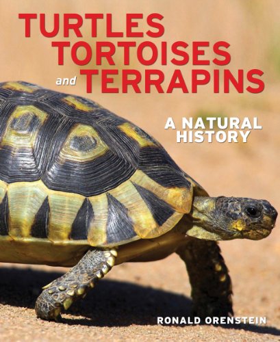 Turtles, Tortoises and Terrapins: A Natural History - Click to Buy
