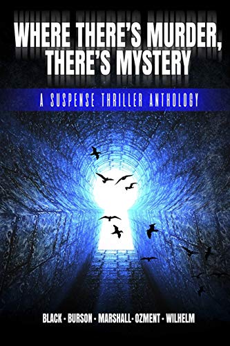 Where There's Murder, There's Mystery: A Suspense Thriller Anthology