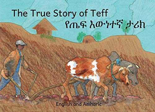 The True Story of Teff: in English and Amharic - Click to Buy