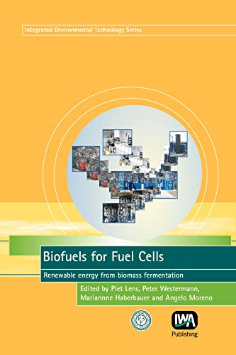 Biofuels for Fuel Cells: Renewable Energy from Biomass Fermentation