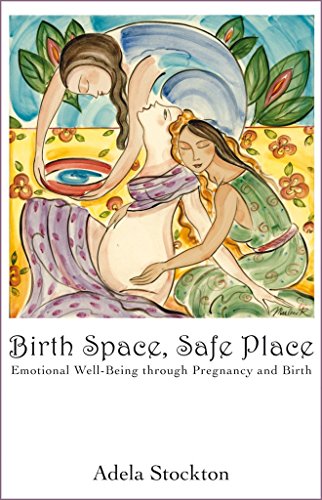 Birth Space, Safe Place: Emotional Well-Being Through Pregnancy and Birth - Click to Buy