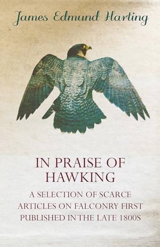 In Praise of Hawking