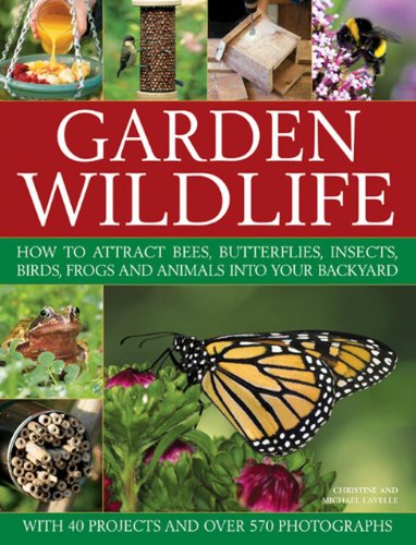 Garden Wildlife: How To Attract Bees, Butterflies, Insects, Birds, Frogs And Animals Into Your Backyard - Click to Buy