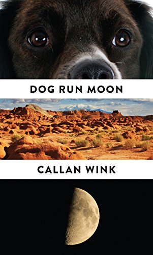 Dog Run Moon: Stories - Click to Buy
