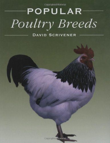 Popular Poultry Breeds - Click to Buy