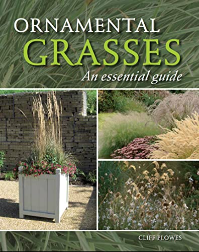 Ornamental Grasses: An Essential Guide - Click to Buy