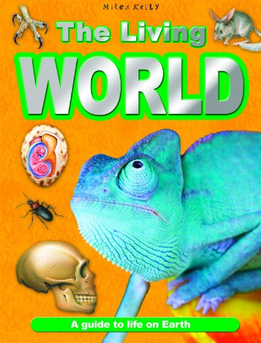 Living World - Click to Buy