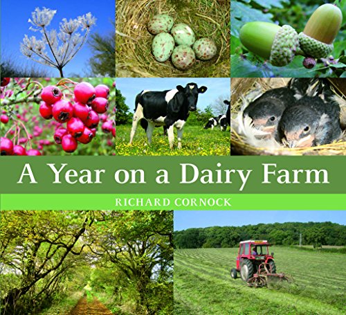 A Year on a Dairy Farm - Click to Buy