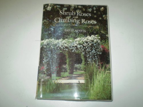 Shrub Roses and Climbing Roses - Click to Buy