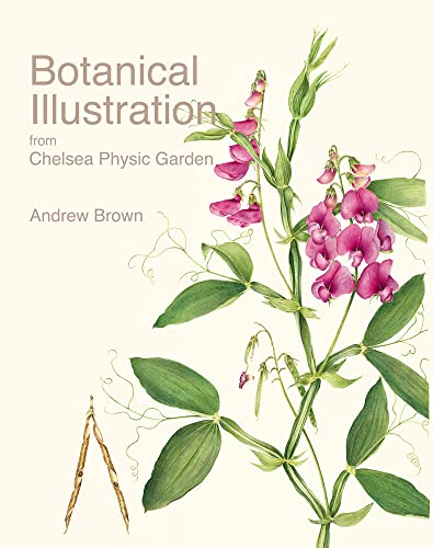 Botanical Illustration from Chelsea Physic Garden - Click to Buy