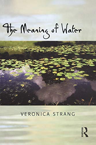 The Meaning of Water - Click to Buy