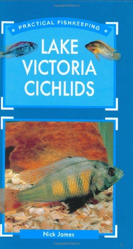Lake Victoria Cichlids - Click to Buy