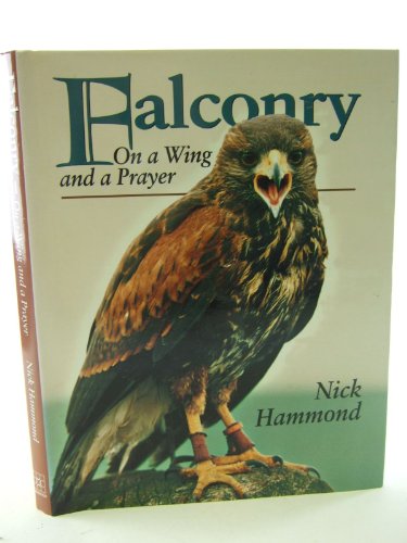 Falconry: On a Wing and a Prayer - Click to Buy